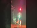 THIS MIGHT BE THE BEST $10 FIREWORK EVER #Shorts #Fireworks