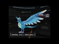 Pokemon XD: Gale of Darkness Boss 33 - Greevil