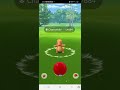 Tepig community Day