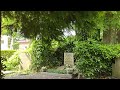 June Serene Walk through the Dutch Old Cemetery in Rijswijk. Just walking, no talking. 4K 60 fps