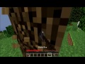 PlatinumWhiteForge Minecraft Survival 1