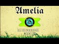 Amelia Dj dingdong Tiktok Remix | Besa and Mattyas