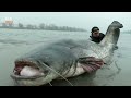 100 Incredible Fishing Moments Caught On Camera!