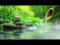 Relaxing Piano Music Playlist with Nature Sounds | Relax, Sleep, Focus Music, Work, Bamboo