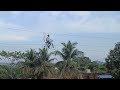 Ropeway cycling