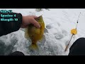 Ice Fishing Lake St. Clair - Big Bluegill on Micro Plastics