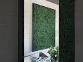 How To Build a Faux Boxwood Wall #shorts #diy #diydecor #diyprojects