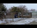 3 of 4 winter 2012 videos