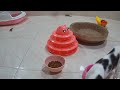 Cute Baby Animals Videos Compilation | Funny and Cute Moment of the Animals #01- Cutest Animals 2024