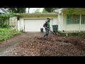 Entire DRIVEWAY Hidden Under Overgrown Grass