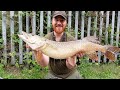 This Big Urban Canal Pike Needed My Help!