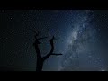 Hunting Under the Stars - The Unseen Lives of Africa's Nocturnal Predators | Full Documentary
