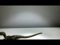 Velociraptor Stop Motion Test