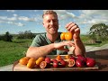 The Speedy Fruit Tree You Need to Grow! Tamarillo / Tree Tomato