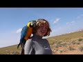 Are Older Birds Cut Out For Freeflight? | Sam the 17 Year Old Macaw