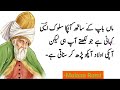 Wo Shakhas Boht Jald Kamyab Ho Jai Ga Jo Ye Kaam Karta Ho | Mulana Rumi Quotes in Urdu