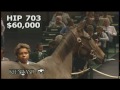 Zenyatta at the 2005 September Yearling Sale