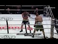 Roy Jones Jr. vs Anthony Pettis | FULL FIGHT Highlights #boxing
