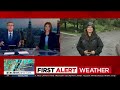 Debby's remnants down trees across NYC area | Team coverage