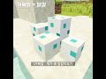 마인크래프트 이상한 사실들 모아보기 #11 (Minecraft)