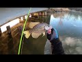 CRAPPIE Fishing With JIG & BOBBER From The BANK‼️ CRAZY Double Jig Rig Action