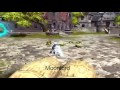 [Dragon Nest] All Awakening Skill 12 Classes (Warrior Archer Sorceress)