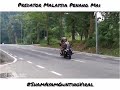 Predator viral mengganas lg