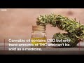 What's in cannabis-derived medicines? - BBC News