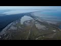 Nje copez nga Divjaka e filmuar me dron . Laguna e Karavastase dhe Pylli i Divjakes.#travel #channel