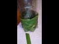 palm leaf Koozee