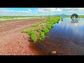 ¡Increíble! recuperacion del Lago de Texcoco