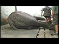 Elephant Capture - South Africa Travel Channel 24