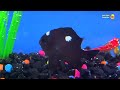 Colorful sea fish surprise, shrimp, clownfish, starfish, sea animals,angel fish, butterfly fish,pony