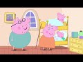 Miss Rabbit Turns Purple | Peppa Pig Asia 🐽 Peppa Pig English Episodes