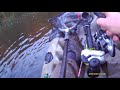 River pike taken on my kayak - it's a big old girl (esox luscious)