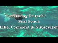 Explore Seal Beach
