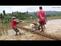 Koleksi Traktor Sawah pindah lahan