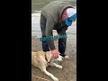 Viral video captured while visiting Arizona - Man saves his dog