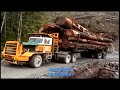 Extremely Dangerous Heavy Equipment Truck & Excavator Fails | Big Logging Wood Truck Driving Skill.