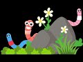 WORMS GO FOR A STROLL - Baby Sensory Video