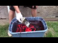 How to: DEER SKULL DIPPING WITH SPRAY PAINT