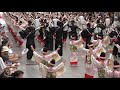 濱長 花神楽 2019 第66回 高知よさこい祭り 本祭２日目 帯屋町演舞場 [4K] 08.11