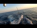 Effective Mahi trolling spread for small boats | Spring Mahi Mahi run