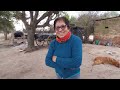 CAMPESINA cría animales en este PARAISO ESCONDIDO de TODO/Pampa Cejas- Chaco