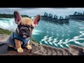 Traveling puppies in famous landmarks around the world - AI