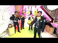 Serenata Virtual Yukarín | Mariachi Amigo | Mañanitas en japones