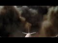 Air France Flight 358 - Crash Animation
