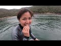 Day Cruise on the Jeanneau Merry Fisher 795 Sport Serie 2 - Drone, Diving, Cake, Fishing, 32 knots