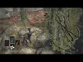 Dark Souls 3 Crucifixion Woods Swamp-2-Bonfire Shortcut