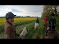 Closing meet for the South Downs Bloodhounds at Milton Hill Farm 28/4/24